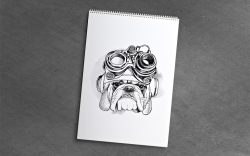 Crazy Drawings - CRAZY STEAMPUNK - colouring book