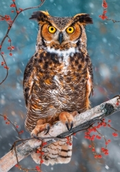 Castorland PUZZLE Great Horned Owl 500 dílků