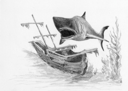 Sketching Made Easy - SHARK (Žralok) - skicování obrázků - malé