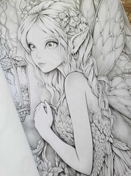 Spring Fairies Coloring Book - Max Brenner