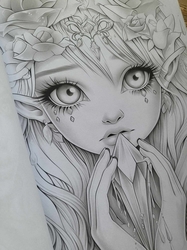 Spring Fairies Coloring Book - Max Brenner