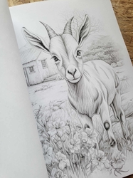 101 Baby Animal Home Coloring Book - Max Brenner 