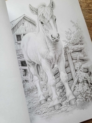 101 Baby Animal Home Coloring Book - Max Brenner 
