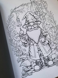 101 Gnomes - Coloring Book