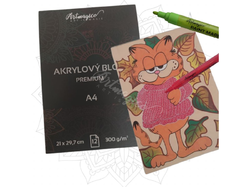 Artmagico Akrylový blok - 300 g/m2, 12 listů - různé varianty