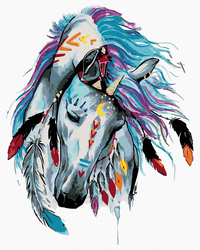 Malování podle čisel - Indiánský kůň - 40 x 50 cm - obtížnost 2 (snadné)