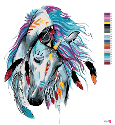 Malování podle čisel - Indiánský kůň - 40 x 50 cm - obtížnost 2 (snadné)