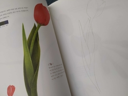 Botanical Art Easy Drawing Coloring Book