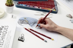DERWENT Pastel Pencils - pastel v tužce - sada 24 ks