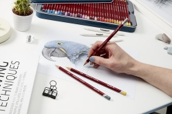 DERWENT Pastel Pencils - pastel v tužce - sada 12 ks