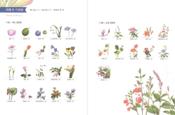 Botanical Art Easy Drawing Coloring Book