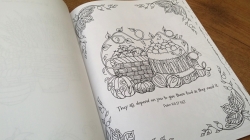 Noah's Ark Majestic Expressions Adult Coloring Book 