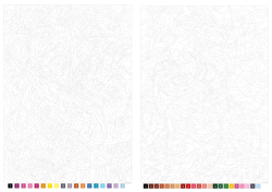 300 coloriages Disney - Volume 1 - Collector - Sběratel