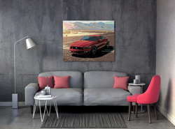 Malování podle čisel - Mustang - 40 x 50 cm - obtížnost 1 (velmi snadné)