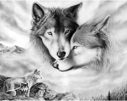 WOLFISH LOVE (Vlčí láska) - Diamond painting - 48 x 38 cm
