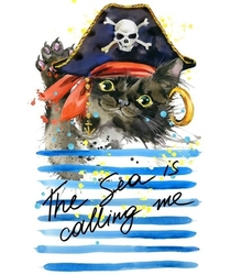 CAT PIRATE (Kočičí pirát) - Diamond painting - 27 x 38 cm