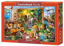 Castorland PUZZLE Coming to room 1000 dílků