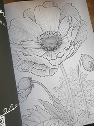 AMAZING FLOWERS - 50 Beautiful Floral Designs