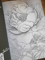AMAZING FLOWERS - 50 Beautiful Floral Designs