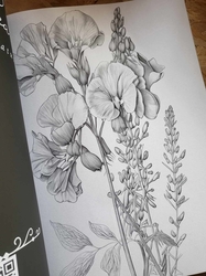 AMAZING FLOWERS - 50 Beautiful Floral Designs