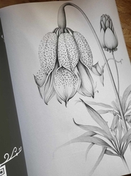 AMAZING FLOWERS - 50 Beautiful Floral Designs