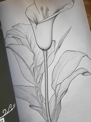 AMAZING FLOWERS - 50 Beautiful Floral Designs