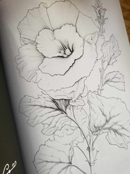 AMAZING FLOWERS - 50 Beautiful Floral Designs