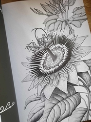 AMAZING FLOWERS - 50 Beautiful Floral Designs