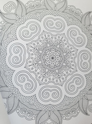 Amazing mandala - Creatief kleuren voor volwassenen - mandaly
