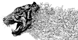 Animorphia - Kerby Rosanes  - polské vydání