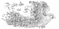 Animorphia - Kerby Rosanes  - polské vydání