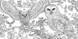 Animorphia - Kerby Rosanes  - polské vydání