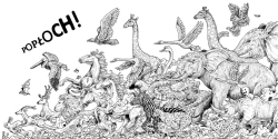 Animorphia - Kerby Rosanes  - polské vydání