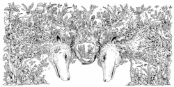 Animorphia - Kerby Rosanes  - polské vydání