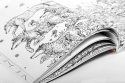 Animorphia - Kerby Rosanes  - polské vydání