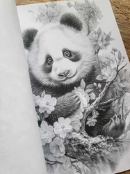 Baby Cute Animals Grayscale Coloring Book- Max Brenner 