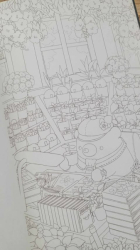 Bear Country Bear Coloring Book (Adult Coloring Book Series) - JAPONSKO