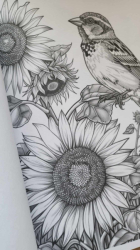 Birds & Flowers Coloring Book for Adults - Mia Quinn