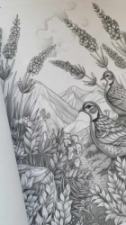 Birds & Flowers Coloring Book for Adults - Mia Quinn