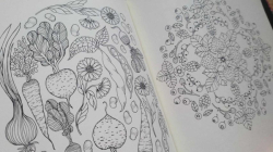 Blomster Mandala - Maria Trolle - švédské vydání - verze 2022