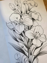 Botanical Flowers Coloring Book -  Anastasia Anemone