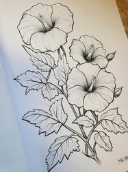 Botanical Flowers Coloring Book -  Anastasia Anemone