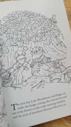 Brambly Hedge: Nature Coloring Book