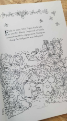 Brambly Hedge: Nature Coloring Book