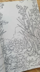 Brambly Hedge: Nature Coloring Book