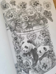 Can Worlds - Coloring Book for Adults - Mia Quinn 