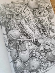 Can Worlds - Coloring Book for Adults - Mia Quinn 