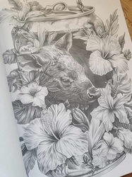 Can Worlds - Coloring Book for Adults - Mia Quinn 