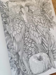 Can Worlds - Coloring Book for Adults - Mia Quinn 