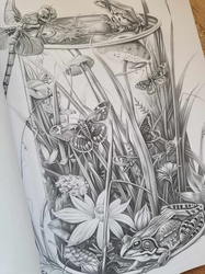 Can Worlds - Coloring Book for Adults - Mia Quinn 